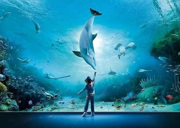 La Perla Bianca Lejlighed Genova