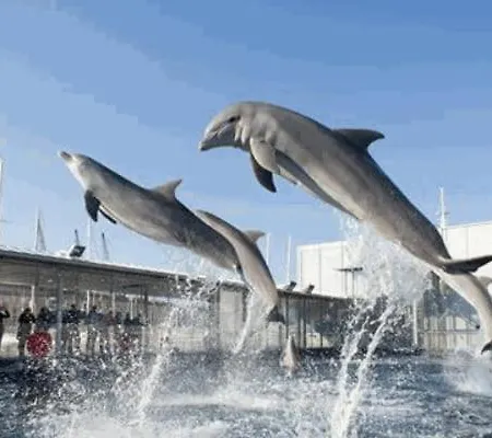 Апартаменты La Perla Bianca *